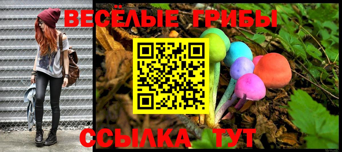 Галлюциногенные грибы MAGIC MUSHROOMS  Вход с VPN  Сибай  Галлюциногенные грибы Psilocybe 